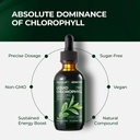 premium-voltzap-chlorophyll-liquid-drops-for-immune-support-energy-boost-digestive-health-natural-mint-flavor-vegan-supplement-2fl-oz-non-gmo-gluten-free-04-premium-voltzap-chlorophyll-liquid-drops-for-immun-4_6135ba7f-759b-47a5-a577-1024f0d760d6.jpg