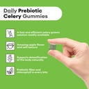 detox-support-celery-juice-fiber-gummies-for-adults-super-greens-boost-with-chlorophyll-prebiotic-fiber-60-count-03-detox-support-celery-juice-fiber-gummies-for-adult-3.jpg