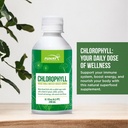 funat-chlorophyll-plus-liquid-drops-natural-mint-flavor-green-supplement-for-energy-wellness-nutrient-rich-formula-8-1-fl-oz-05-funat-chlorophyll-plus-liquid-drops---natural-mint-5.jpg