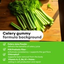 detox-support-celery-juice-fiber-gummies-for-adults-super-greens-boost-with-chlorophyll-prebiotic-fiber-60-count-04-detox-support-celery-juice-fiber-gummies-for-adult-4.jpg