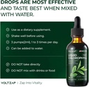 premium-voltzap-chlorophyll-liquid-drops-for-immune-support-energy-boost-digestive-health-natural-mint-flavor-vegan-supplement-2fl-oz-non-gmo-gluten-free-07-premium-voltzap-chlorophyll-liquid-drops-for-immun-7_481b46aa-67ff-46a6-a895-0515d05c42ac.jpg
