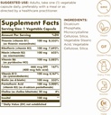 solgar-b-complex-100-100-vegetable-capsules-pack-of-2-energy-cardiovascular-nervous-system-support-non-gmo-vegan-gluten-free-200-servings-02-solgar-b-complex-100-100-vegetable-capsules-pack-o-2.jpg