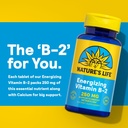 high-potency-natures-life-vitamin-b-2-250-mg-energy-pills-with-calcium-metabolism-support-supplement-100-tablets-100-servings-04-high-potency-natures-life-vitamin-b-2-250-mg-energ-4.jpg