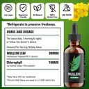 yumoyi-chlorophyll-mullein-lung-cleanse-drops-respiratory-support-for-healthy-breathing-natural-tincture-supplement-non-gmo-vegetarian-30-day-supply-02-yumoyi-chlorophyll-mullein-lung-cleanse-drops---re-2.jpg