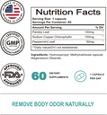 chlorophyll-capsules-vegan-detox-supplement-for-gut-health-skin-and-digestion-60-capsules-03-chlorophyll-capsules---vegan-detox-supplement-for--3.jpg