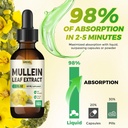 organic-mullein-leaf-extract-drops-for-lungs-detox-immune-support-herbal-supplement-with-chlorophyll-non-gmo-vegan-tincture-2-fl-oz-05-organic-mullein-leaf-extract-drops-for-lungs-detox-5.jpg