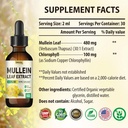 organic-mullein-leaf-extract-drops-for-lungs-detox-immune-support-herbal-supplement-with-chlorophyll-non-gmo-vegan-tincture-2-fl-oz-06-organic-mullein-leaf-extract-drops-for-lungs-detox-6.jpg