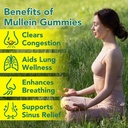 mullein-gummies-for-lung-cleanse-natural-support-for-smokers-herbal-supplements-with-chlorophyll-60-chews-05-mullein-gummies-for-lung-cleanse---natural-support-5.jpg
