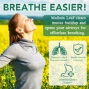 mullein-gummies-for-lung-cleanse-natural-support-for-smokers-herbal-supplements-with-chlorophyll-60-chews-06-mullein-gummies-for-lung-cleanse---natural-support-6.jpg