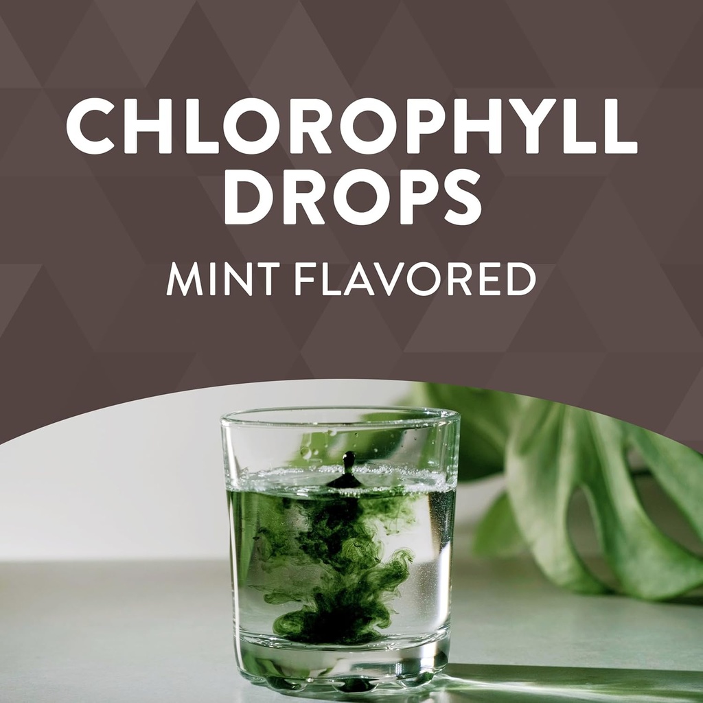 liquid-chlorophyll-drops-by-natures-way-2-fl-oz-mint-flavored-internal-deodorant-supports-detox-chlorofresh-concentrate-02-liquid-chlorophyll-drops-by-natures-way-2-fl-oz-mi-2.jpg