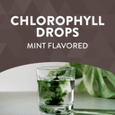 liquid-chlorophyll-drops-by-natures-way-2-fl-oz-mint-flavored-internal-deodorant-supports-detox-chlorofresh-concentrate-02-liquid-chlorophyll-drops-by-natures-way-2-fl-oz-mi-2.jpg