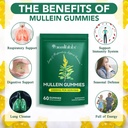 mullein-gummies-for-lung-cleanse-natural-support-for-smokers-herbal-supplements-with-chlorophyll-60-chews-08-mullein-gummies-for-lung-cleanse---natural-support-8.jpg