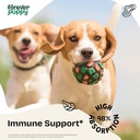 liquid-immune-support-supplement-for-dogs-echinacea-drops-for-respiratory-health-immunity-2-oz-bottle-for-all-breeds-sizes-02-liquid-immune-support-supplement-for-dogs---echina-2.jpg