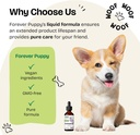 liquid-immune-support-supplement-for-dogs-echinacea-drops-for-respiratory-health-immunity-2-oz-bottle-for-all-breeds-sizes-06-liquid-immune-support-supplement-for-dogs---echina-6.jpg