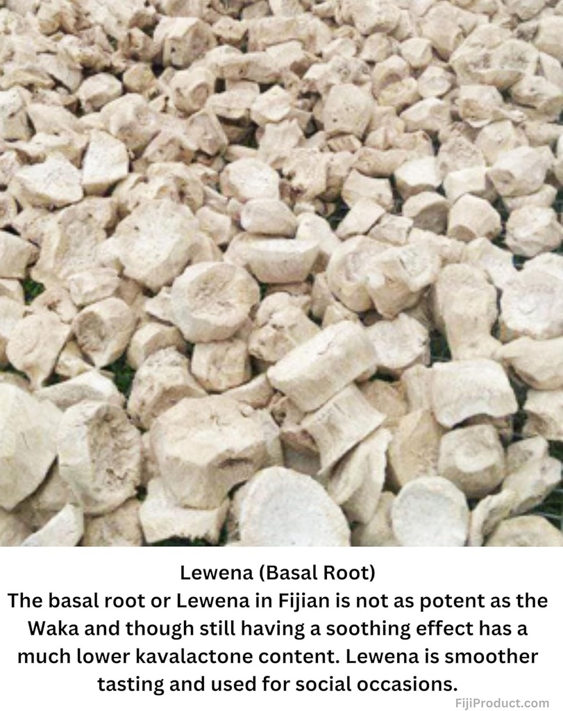 fijian-made-premium-lewena-kava-root-powder-1-2-lb-bag-herbal-supplement-for-kava-root-drink-02-fijian-made-premium-lewena-kava-root-powder---12-l-2.jpg