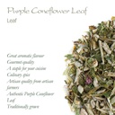 purple-coneflower-echinacea-tea-immunity-boosting-herbal-tea-from-valley-of-tea-05-purple-coneflower-echinacea-tea---immunity-boostin-5.jpg