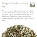 purple-coneflower-echinacea-tea-immunity-boosting-herbal-tea-from-valley-of-tea-06-purple-coneflower-echinacea-tea---immunity-boostin-6.jpg