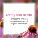 organic-echinacea-supplement-for-immune-support-natural-factors-anti-v-liquid-formula-non-gmo-3-4-oz-03-organic-echinacea-supplement-for-immune-support----3.jpg