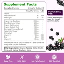 vazatisi-blueberry-elderberry-sea-moss-gummies-with-apple-cider-vinegar-vitamins-for-women-men-kids-60-ct-02-vazatisi-blueberry-elderberry-sea-moss-gummies-wit-2.jpg
