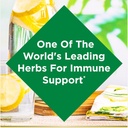 echinacea-herbal-supplement-for-immune-health-400mg-100-capsules-2-pack-by-natures-bounty-03-echinacea-herbal-supplement-for-immune-health---40-3.jpg
