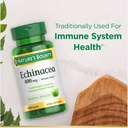 echinacea-herbal-supplement-for-immune-health-400mg-100-capsules-2-pack-by-natures-bounty-04-echinacea-herbal-supplement-for-immune-health---40-4.jpg