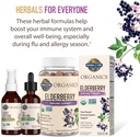 organic-vegan-elderberry-immune-syrup-for-kids-adults-6-59-fl-oz-sambucus-echinacea-zinc-vitamin-c-sugar-free-gluten-free-herbal-supplement-by-garden-of-life-organics-08-organic-vegan-elderberry-immune-syrup-for-kids-adu-8.jpg