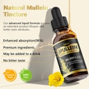 organic-mullein-leaf-extract-drops-for-respiratory-support-and-lung-cleanse-2-fl-oz-bottle-05-organic-mullein-leaf-extract-drops-for-respiratory-5.jpg