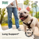 liquid-lung-support-drops-for-dogs-natural-respiratory-health-supplements-with-mullein-leaf-echinacea-4-fl-oz-bottle-02-liquid-lung-support-drops-for-dogs---natural-respi-2.jpg