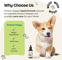 liquid-lung-support-drops-for-dogs-natural-respiratory-health-supplements-with-mullein-leaf-echinacea-4-fl-oz-bottle-06-liquid-lung-support-drops-for-dogs---natural-respi-6.jpg