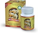 ayurvedic-deemark-musli-pro-capsules-boost-strength-stamina-power-immunity-and-reduce-stress-60-count-02-ayurvedic-deemark-musli-pro-capsules---boost-stren-2.jpg