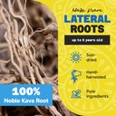 1-lb-fiji-vanua-kava-premium-loloma-waka-kava-root-powder-noble-kava-root-with-sun-dried-lateral-roots-medium-grind-for-easy-preparation-smooth-delicious-taste-03-1-lb-fiji-vanua-kava-premium-loloma-waka-kava-root-3.jpg