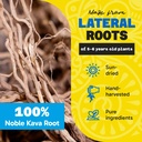 fiji-vanua-kava-vanuatu-powder-premium-noble-kava-root-powder-with-high-kavalactone-content-easy-to-prepare-medium-grind-16oz-03-fiji-vanua-kava-vanuatu-powder---premium-noble-kav-3.jpg