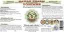 yohimbe-liquid-extract-alcohol-free-dried-bark-glycerite-supplement-64-fl-oz-hawaii-pharm-usa-made-02-yohimbe-liquid-extract---alcohol-free-dried-bark-g-2.jpg