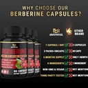 berberine-supplement-with-ceylon-cinnamon-milk-thistle-turmeric-artichoke-leaf-black-pepper-6-month-supply-180-capsules-06-berberine-supplement-with-ceylon-cinnamon-milk-thi-6.jpg