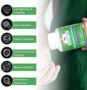 organic-mushroom-extract-capsules-for-immune-support-1-500mg-40-beta-glucans-120-caps-cancer-sciences-wellness-formula-03-organic-mushroom-extract-capsules-for-immune-suppo-3.jpg