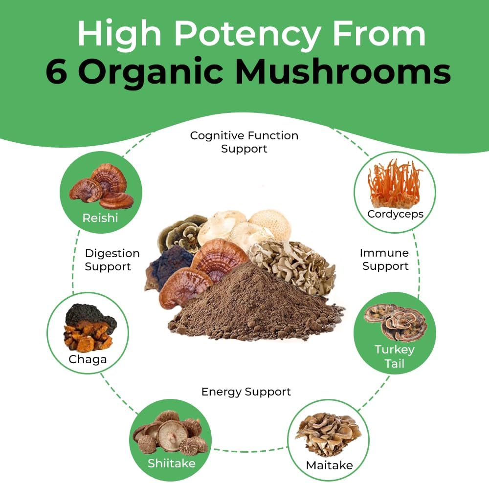 organic-mushroom-extract-capsules-for-immune-support-1-500mg-40-beta-glucans-120-caps-cancer-sciences-wellness-formula-04-organic-mushroom-extract-capsules-for-immune-suppo-4.jpg