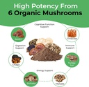 organic-mushroom-extract-capsules-for-immune-support-1-500mg-40-beta-glucans-120-caps-cancer-sciences-wellness-formula-04-organic-mushroom-extract-capsules-for-immune-suppo-4.jpg