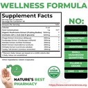 organic-mushroom-extract-capsules-for-immune-support-1-500mg-40-beta-glucans-120-caps-cancer-sciences-wellness-formula-06-organic-mushroom-extract-capsules-for-immune-suppo-6.jpg