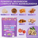 mushroom-supplement-gummies-with-ashwagandha-and-lions-mane-for-focus-memory-immune-support-stress-relief-nootropic-brain-supplement-02-mushroom-supplement-gummies-with-ashwagandha-and-l-2.jpg