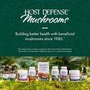 maitake-mushroom-capsules-for-immune-cellular-health-support-herbal-dietary-supplement-with-mushroom-mycelium-60-capsules-06-maitake-mushroom-capsules-for-immune-cellular-heal-6.jpg