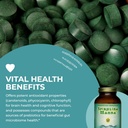 healthforce-superfoods-spirulina-manna-capsules-150-vegan-capsules-for-immune-support-and-overall-health-05-healthforce-superfoods-spirulina-manna-capsules----5.jpg