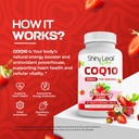 bariatric-multivitamin-with-coq10-for-energy-and-brain-health-iron-free-1-capsule-daily-1-month-supply-06-bariatric-multivitamin-with-coq10-for-energy-and-b-6.jpg