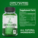 120-gummies-bundle-ashwagandha-tart-cherry-for-energy-immunity-and-gout-relief-09-120-gummies-bundle-ashwagandha-tart-cherry-for-ene-9.jpg
