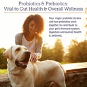 rx-biotic-probiotics-for-dogs-cats-digestive-supplement-for-pets-2-12-oz-bottle-02-rx-biotic-probiotics-for-dogs-cats---digestive-sup-2.jpg