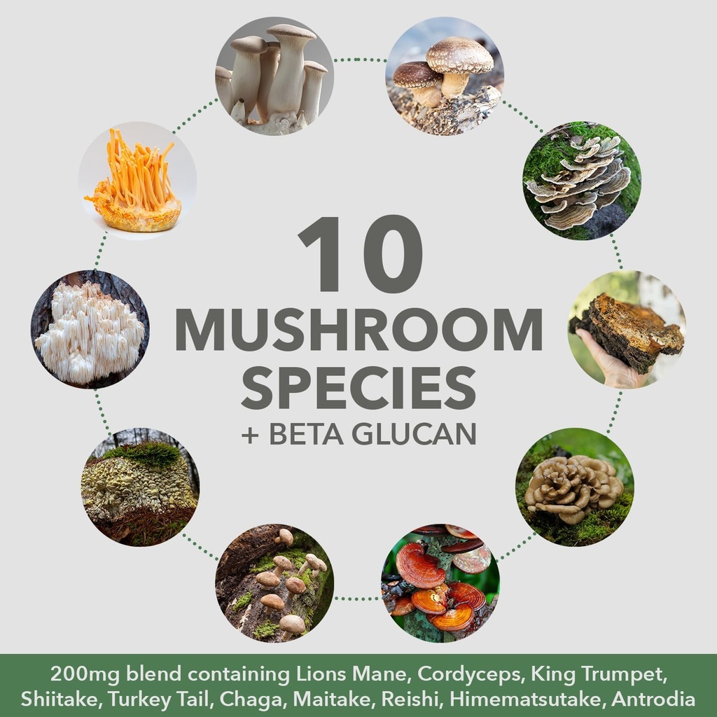 plantfusion-mushroom-protein-powder-vegan-3-in-1-protein-mushroom-and-adaptogen-supplement-for-mental-focus-immunity-recovery-chocolate-1lb-gluten-free-05-plantfusion-mushroom-protein-powder---vegan-3-in-1-5.jpg
