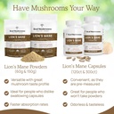 mushroom-extracts-bundle-for-longevity-and-cognition-ergothioneine-lions-mane-shiitake-oyster-vegan-gluten-free-non-gmo-supports-healthy-aging-60ct-300ct-05-mushroom-extracts-bundle-for-longevity-and-cogniti-5.jpg