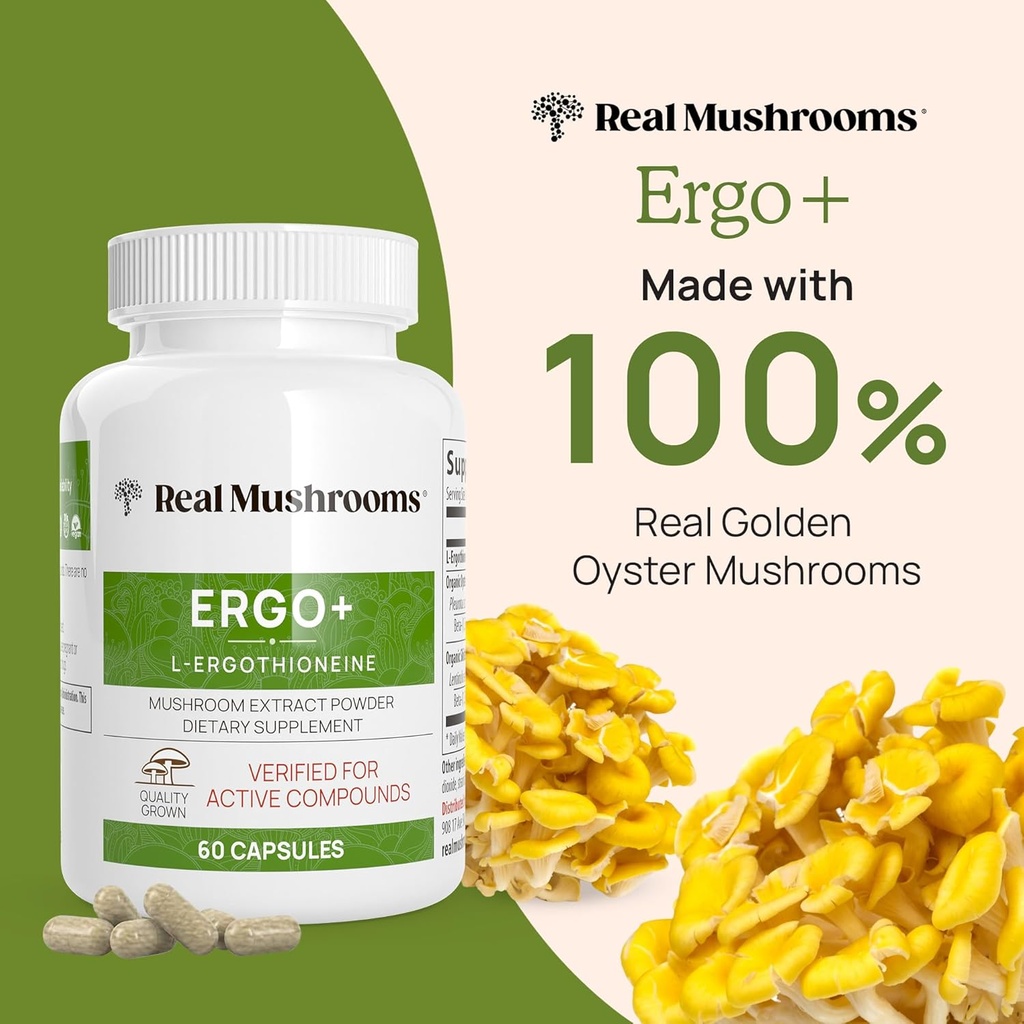 mushroom-extracts-bundle-for-longevity-and-cognition-ergothioneine-lions-mane-shiitake-oyster-vegan-gluten-free-non-gmo-supports-healthy-aging-60ct-300ct-06-mushroom-extracts-bundle-for-longevity-and-cogniti-6.jpg