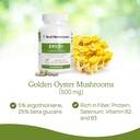mushroom-extracts-bundle-for-longevity-and-cognition-ergothioneine-lions-mane-shiitake-oyster-vegan-gluten-free-non-gmo-supports-healthy-aging-60ct-300ct-09-mushroom-extracts-bundle-for-longevity-and-cogniti-9.jpg