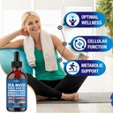 sea-moss-liquid-drops-supplement-with-black-seed-oil-ashwagandha-burdock-root-bladderwrack-silica-multiminerals-non-gmo-vegan-2-pack-03-sea-moss-liquid-drops-supplement-with-black-seed-o-3.jpg
