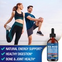 sea-moss-liquid-drops-supplement-with-black-seed-oil-ashwagandha-burdock-root-bladderwrack-silica-multiminerals-non-gmo-vegan-2-pack-04-sea-moss-liquid-drops-supplement-with-black-seed-o-4.jpg